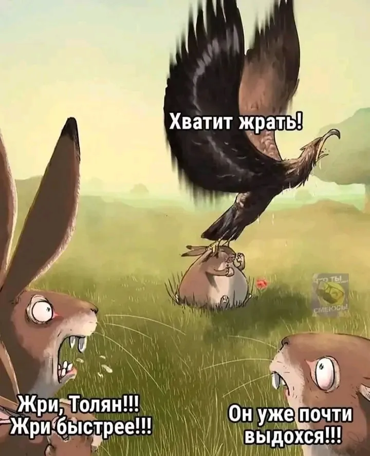 🦅 #2