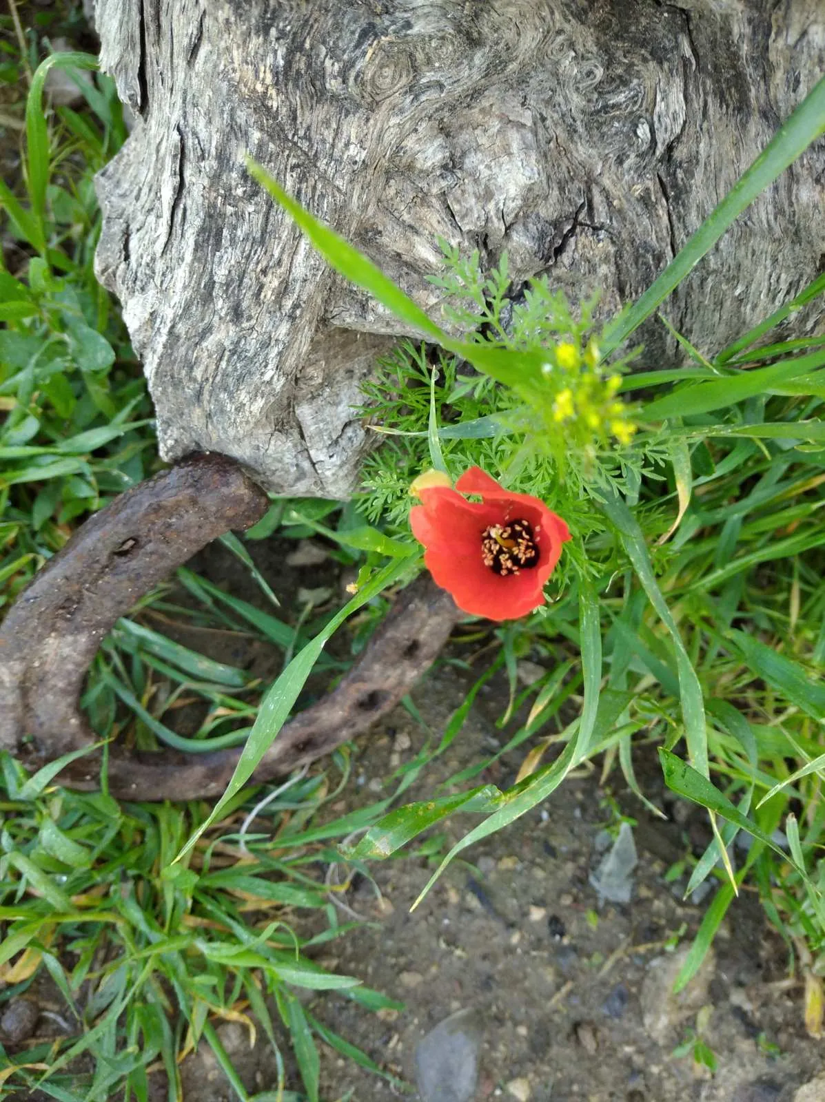 28.05.24