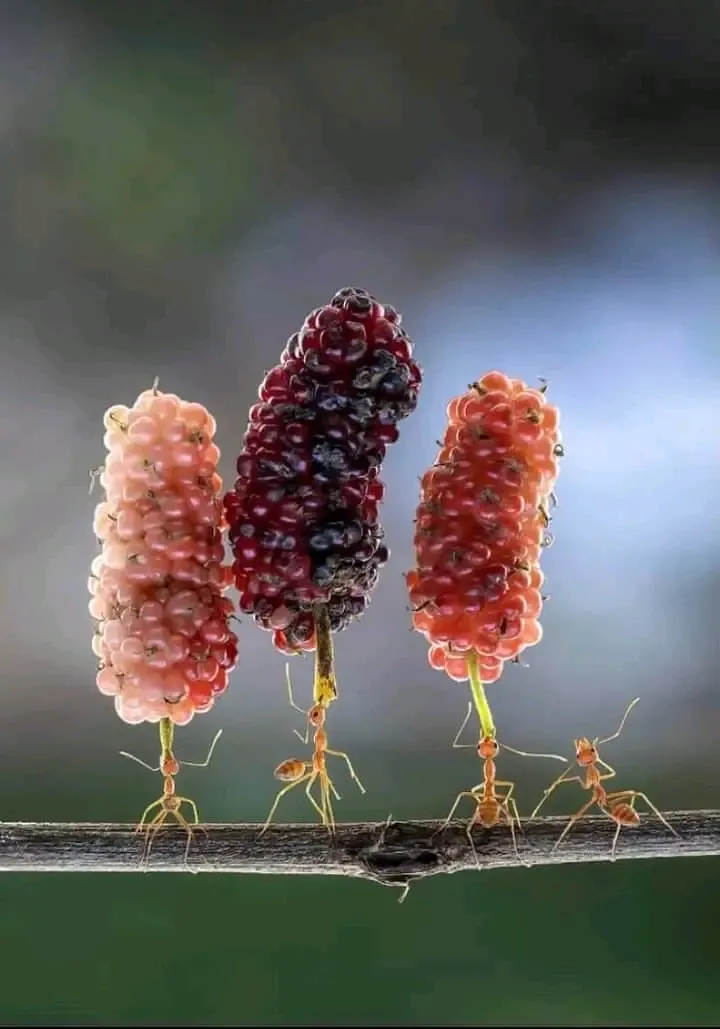 35 Photography Awards #2