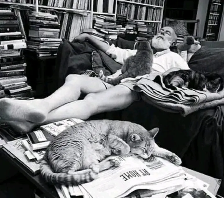 Соседи называли его "кошачьим папой"Флорида,США, 1992