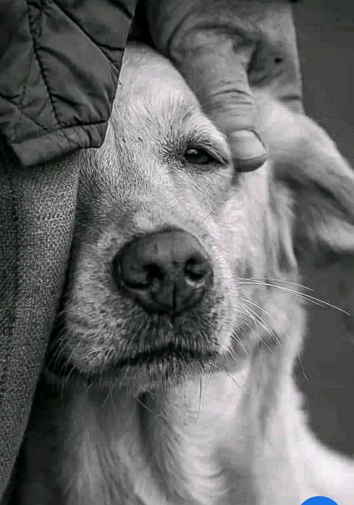 "Тихий угол" #2