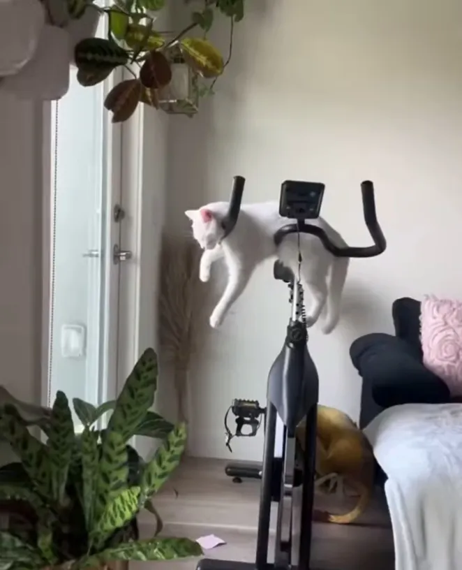 Спорт-это хорошо, но отдых лучше))) 😻 #1