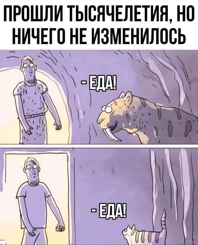 🐱 #1