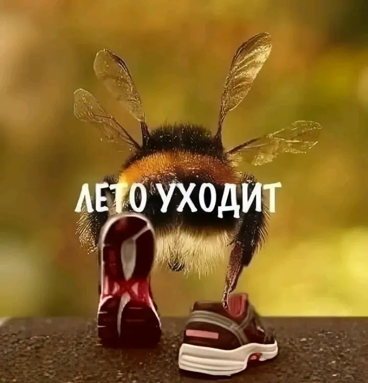 Лето уходит, чтобы вернуться)  #1