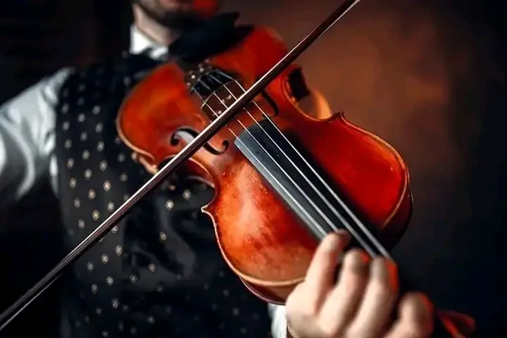 Махагони #6