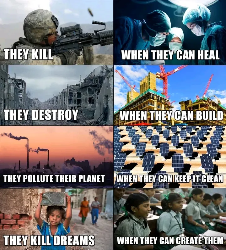 🕊🕊🕊 #1