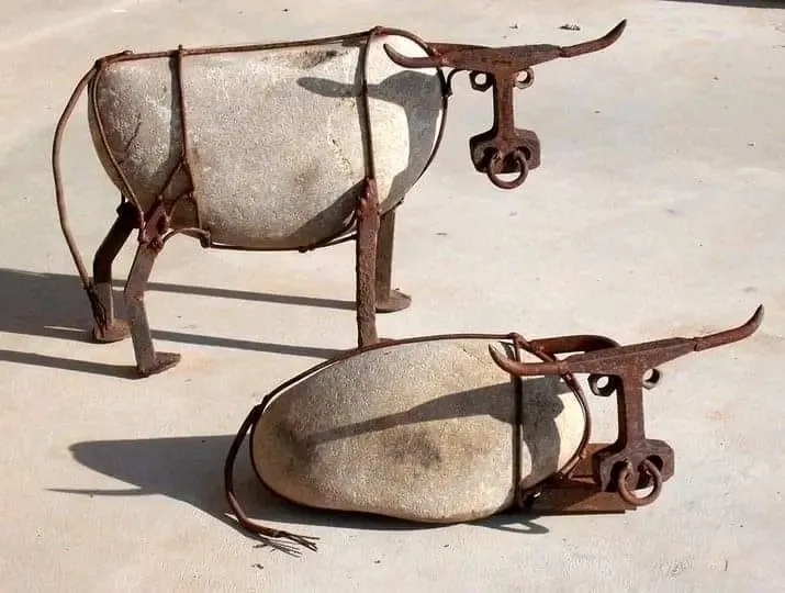"Скот"