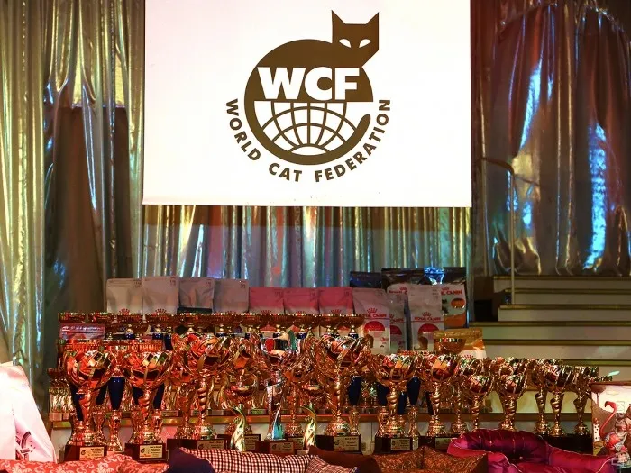 Расшифровка WCF указывает на международный характер деятельности и равное положение участников организации. WCF очень популярна в странах СНГ, в частности, в России. Из 300 выставок, проводимых ежегодно в мире под эгидой Всемирной федерации кошек, 100 проходят именно в РФ.