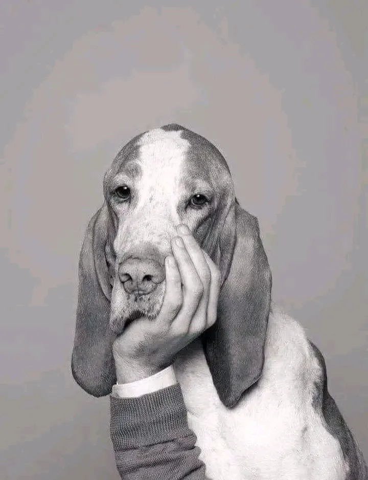 Когда не знаешь что делать)  #1