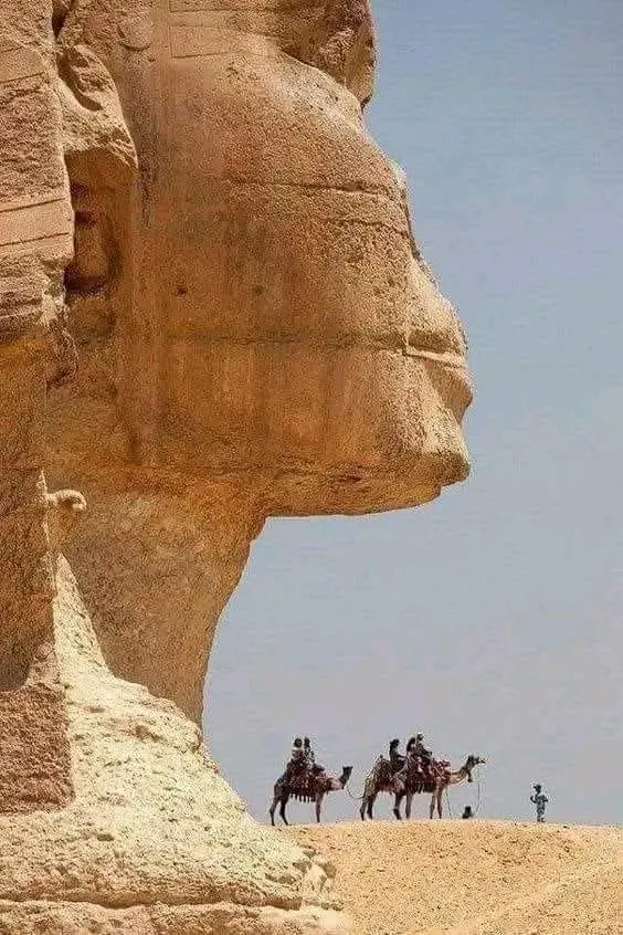 Сфинкс - одна из величайших статуй, сохранившаяся в древнем мире. 🇪🇬 𓋹𓂀𓆗𓃥 #2