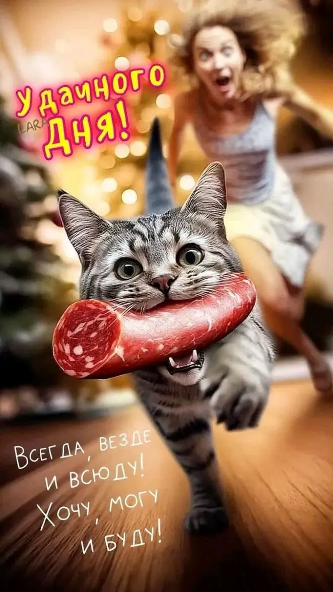 Будь🤣🐱 #1