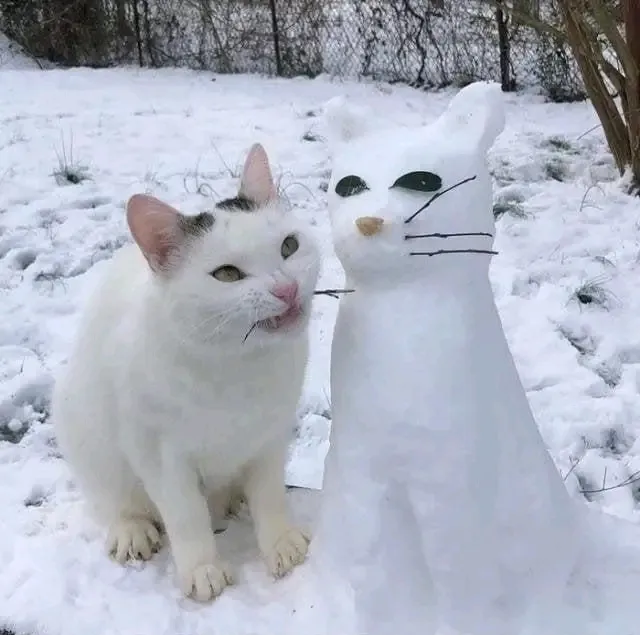 Самозванец 🐱⛄ #1