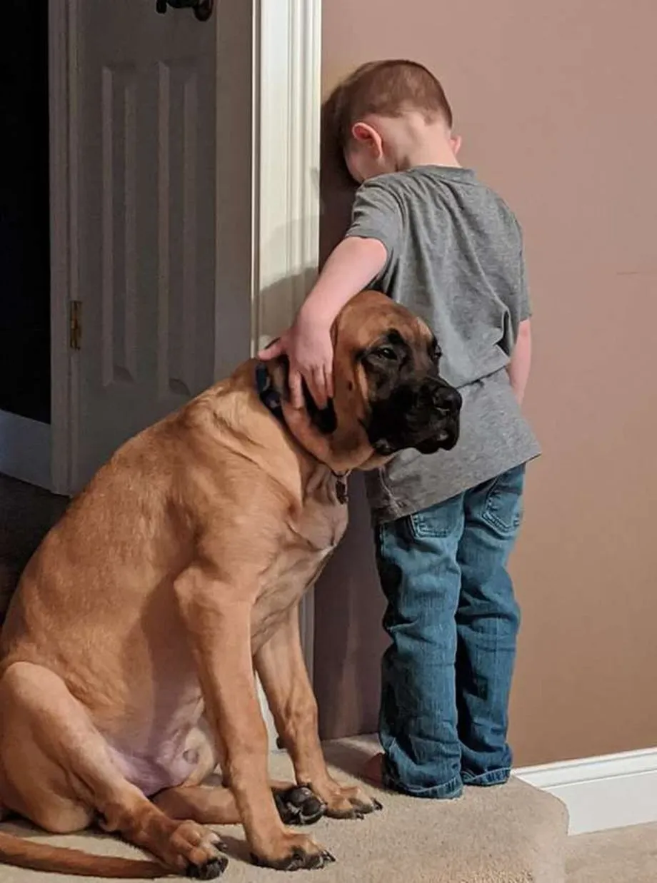 Друг 🐕  #1
