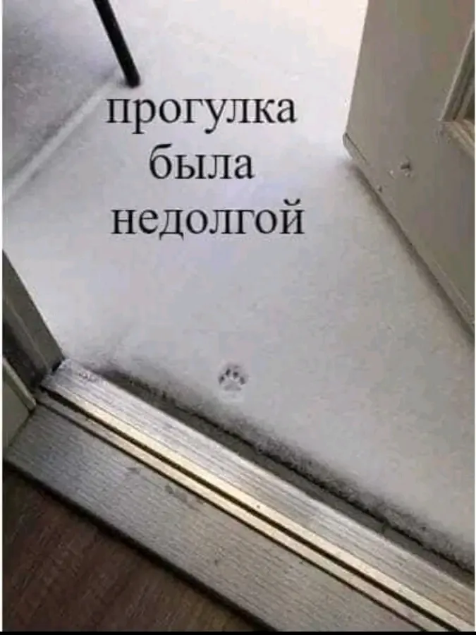 Расхотелось)  #1