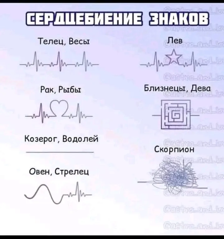 Вот такую воображаемую кардиограмму нашла. Боже, с кем я живу))) (Муж Скорпион 😉)  #1