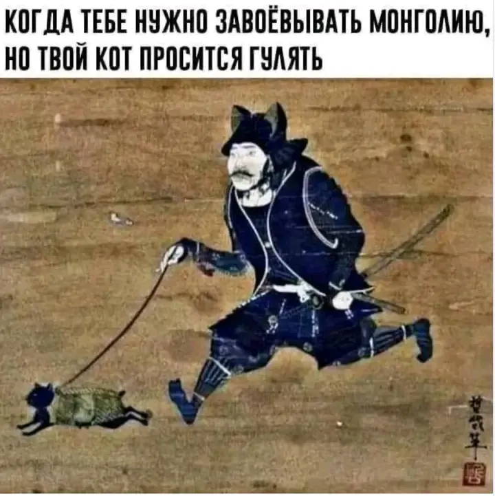 🤣🐈👀 #1