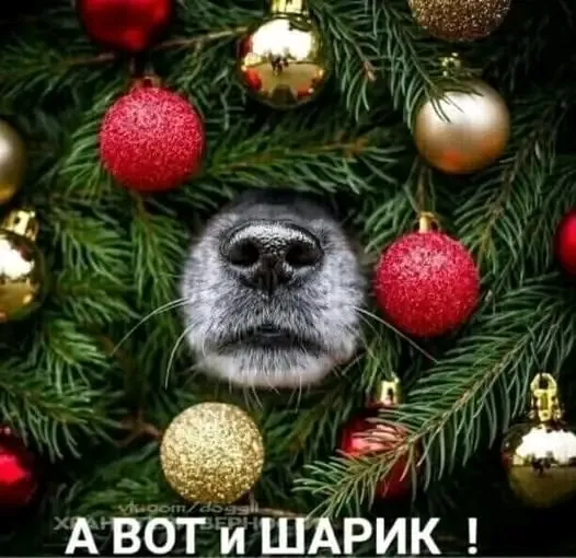 🎄🎄🎄 #1