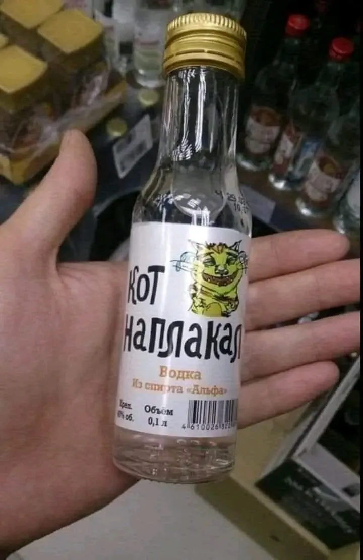 😉👍🐈 #1