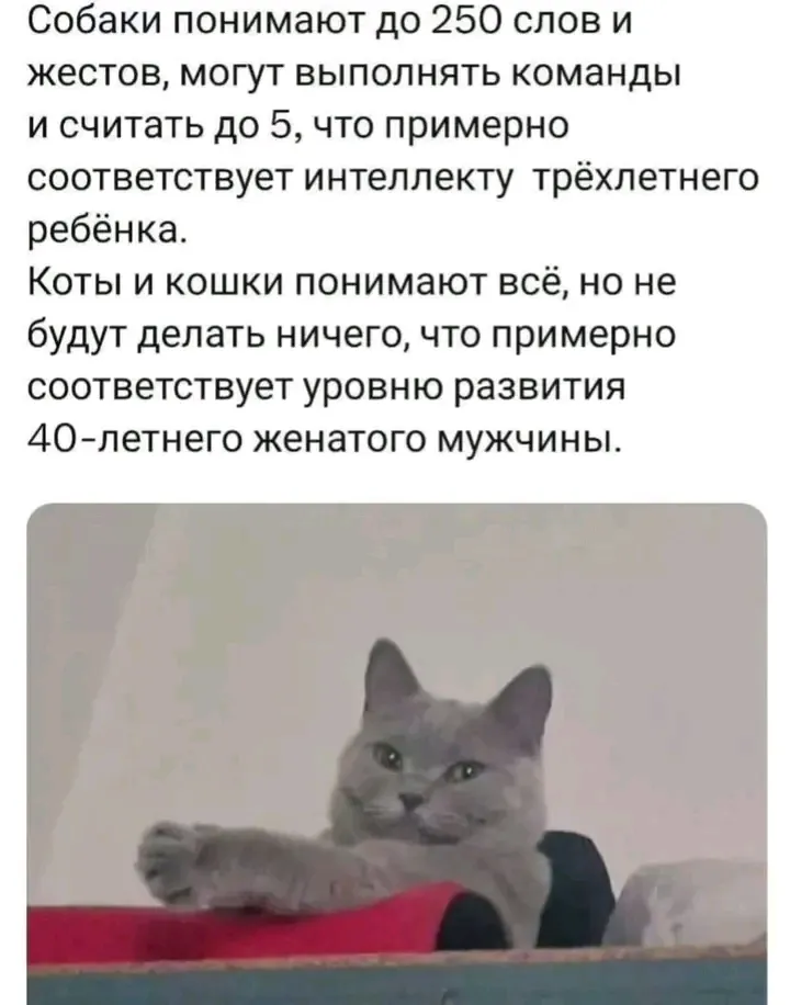 О как🤔 #1