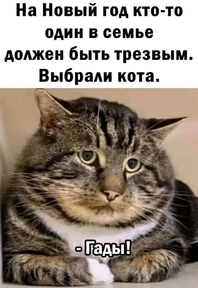 😉👍 #1