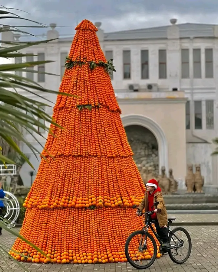 🍊🎄 #2