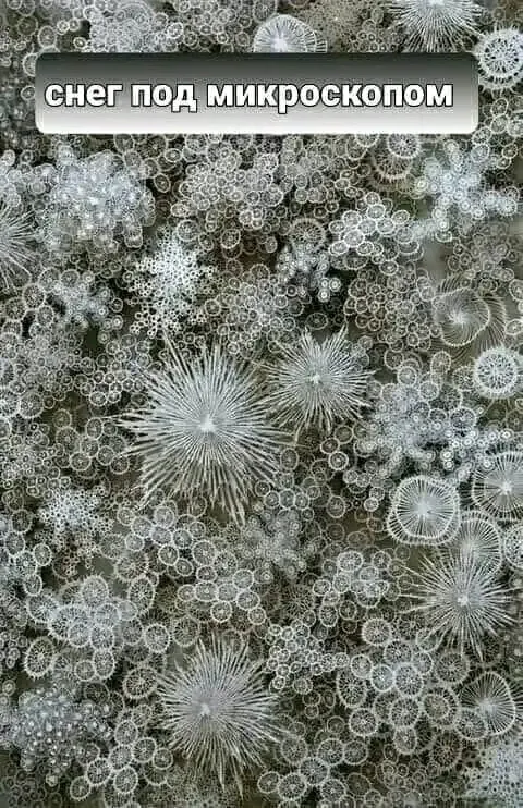 Великолепно...♡ Природа -  великий художник...)) #1