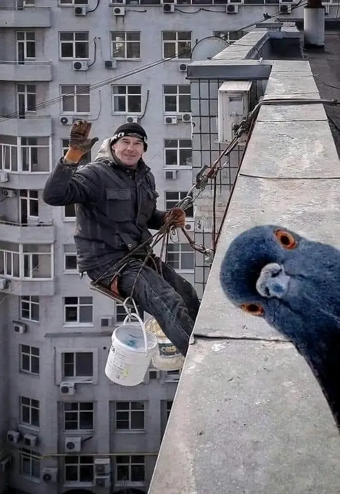 С добрым утром 👍🐦 #1