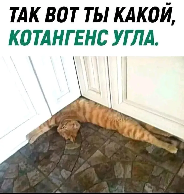 Котангенс 🐈😉👍 #1