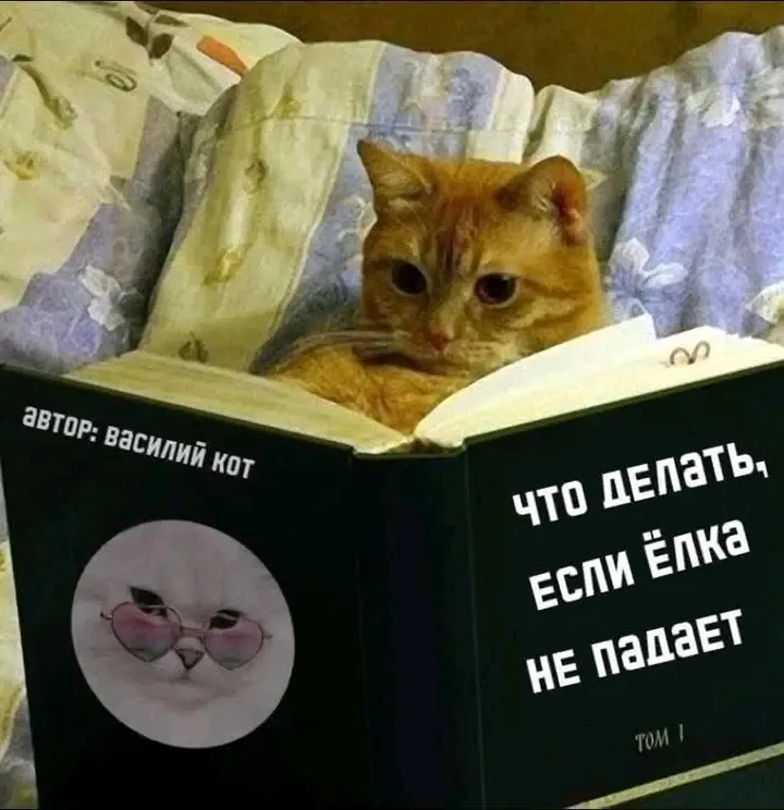 Учебное пособие 😉👍 #1
