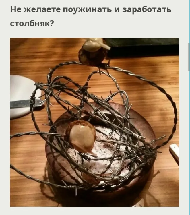 Несколько примеров необычной подачи блюд 🍴🍱 #4