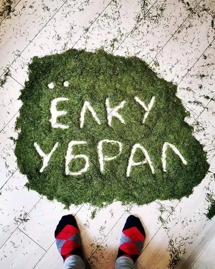🌲🎄🌲 #1