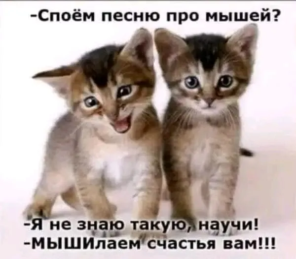 Мышилаем счастья вам 🥰 #1