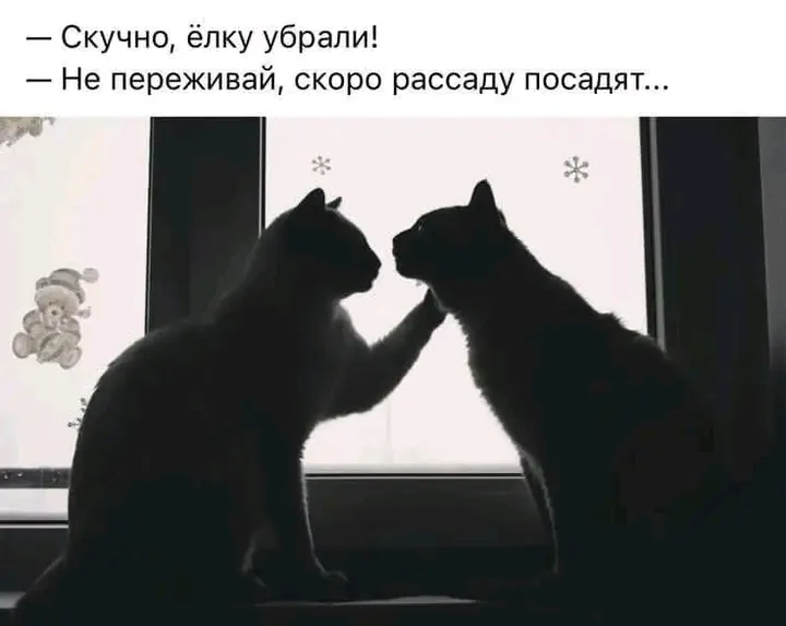 😉👍🐈 #1
