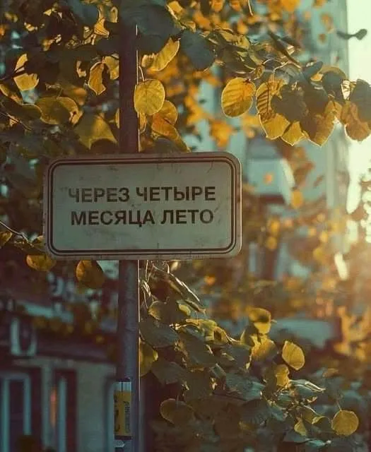 👀😉🌞 #1