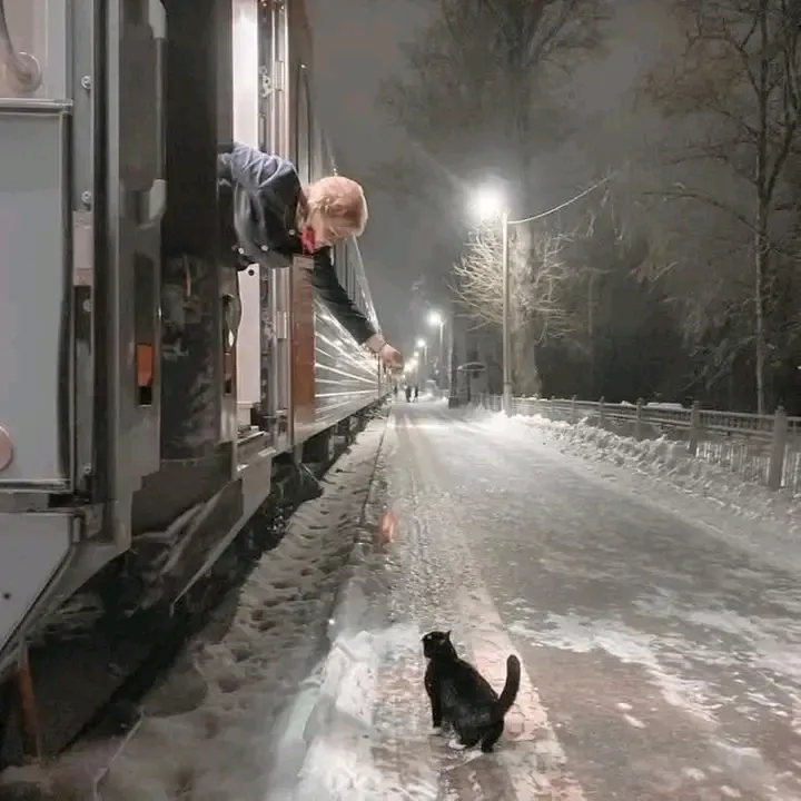 Минутка добра 🥰 #2