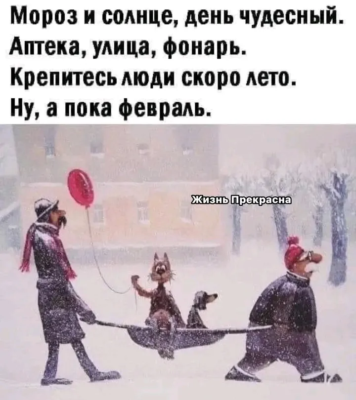 Февраль ❄❄❄ #1