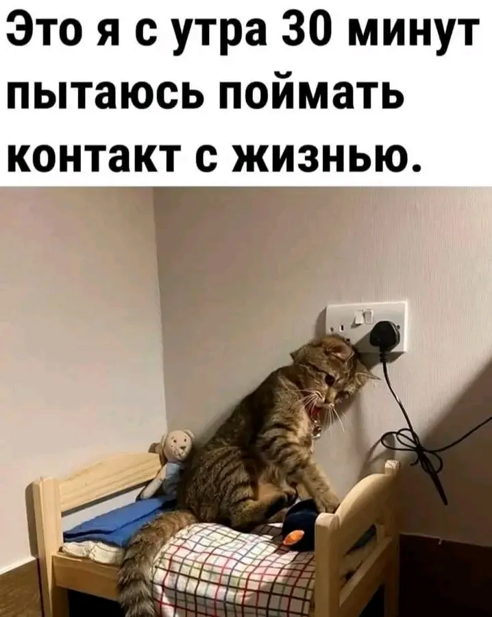 С Добрым Утром🌞 #1