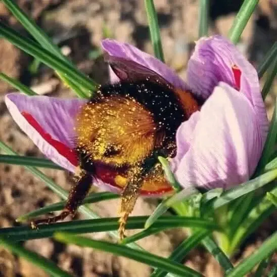 С головой в работу 🐝🌱 #3