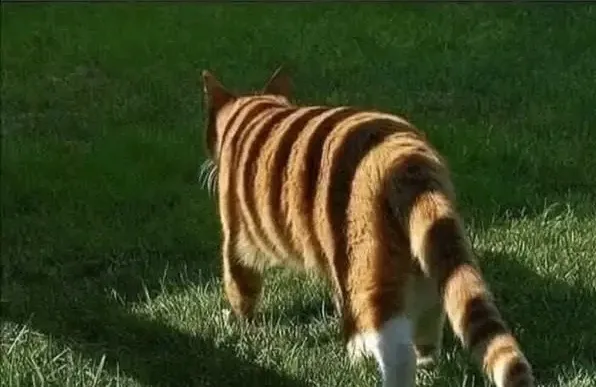 Всего лишь тень, но как меняет статус 😉👍 #1