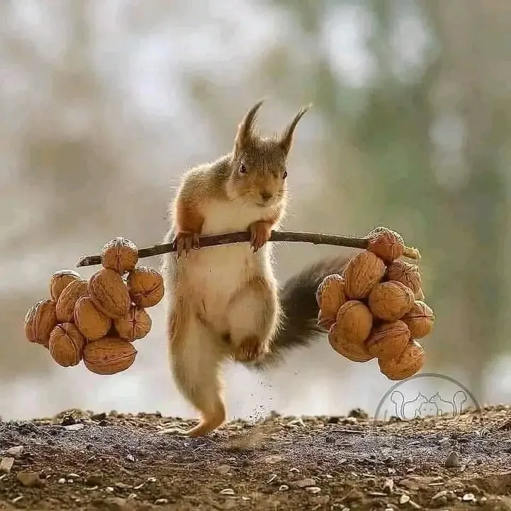 Ура! Пятница!!!  #1