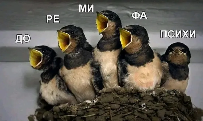 😉👍 #1