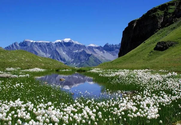 Весна в горах🌱🗻 #1