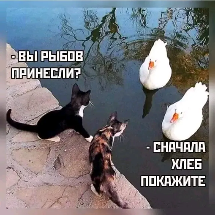 Завтракообмен😉👍🐾 #1