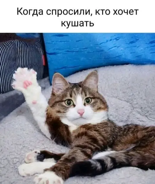 Привет👋 #1