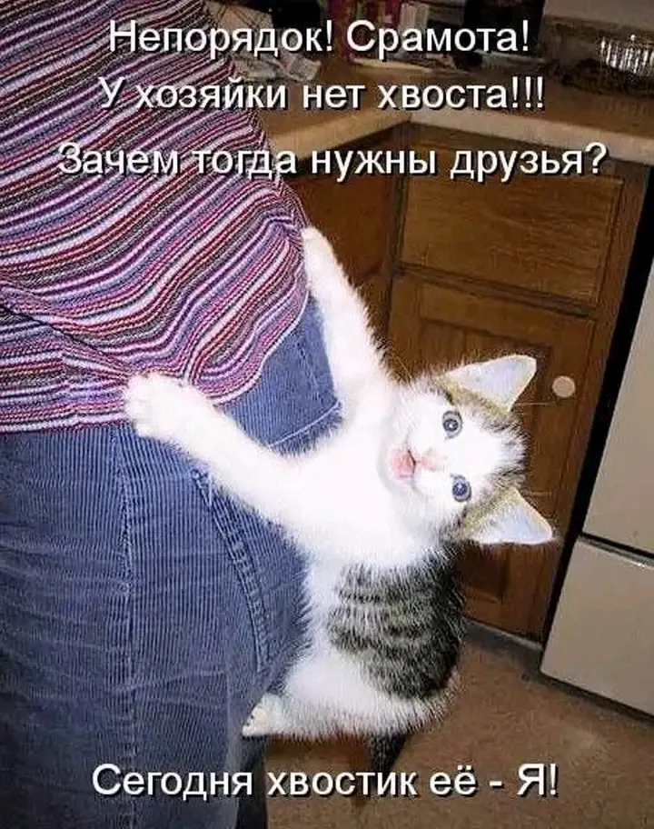 С Добрым Утром🌞 🐾 #1