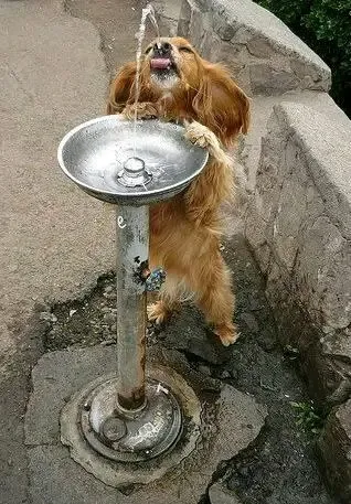 🥰🥰🥰 #1