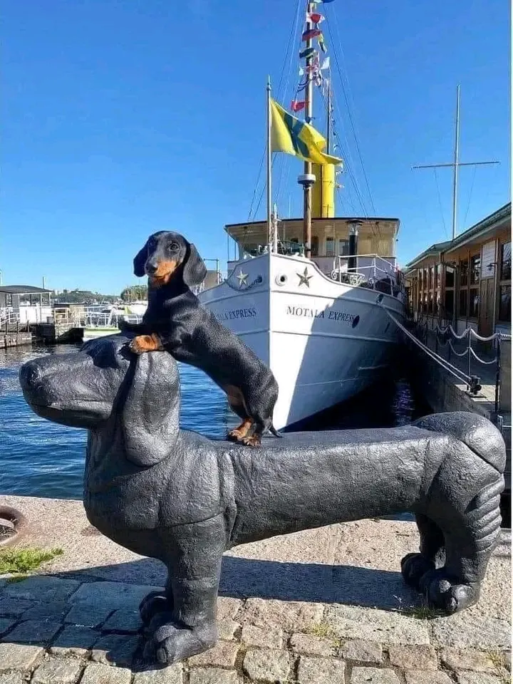 СУПЕР КАДР ...!!!  Портовый город Мотала  Швеция 🇸🇪