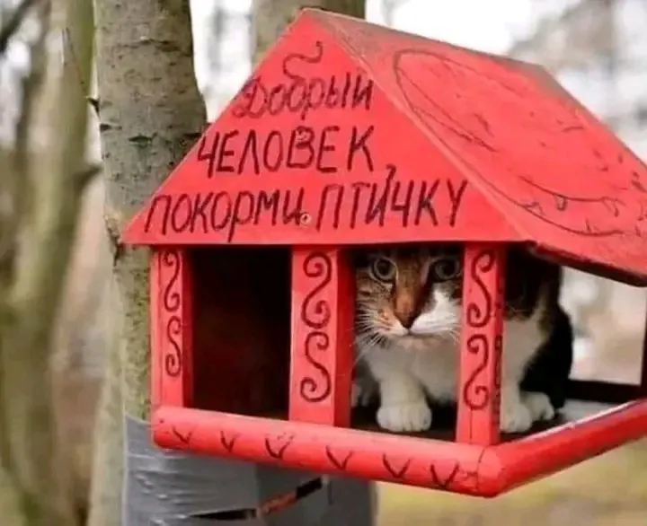С Добрым Утром🌞🐾 #1
