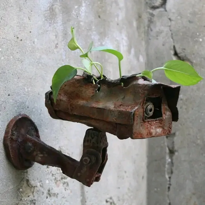 👍🌱 #1
