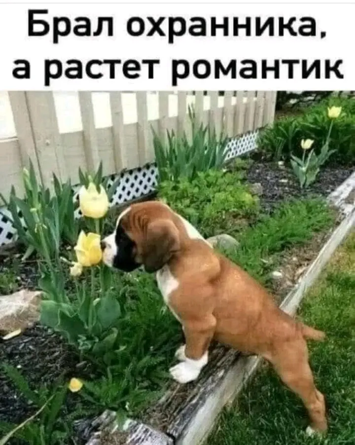 😉👍 #1